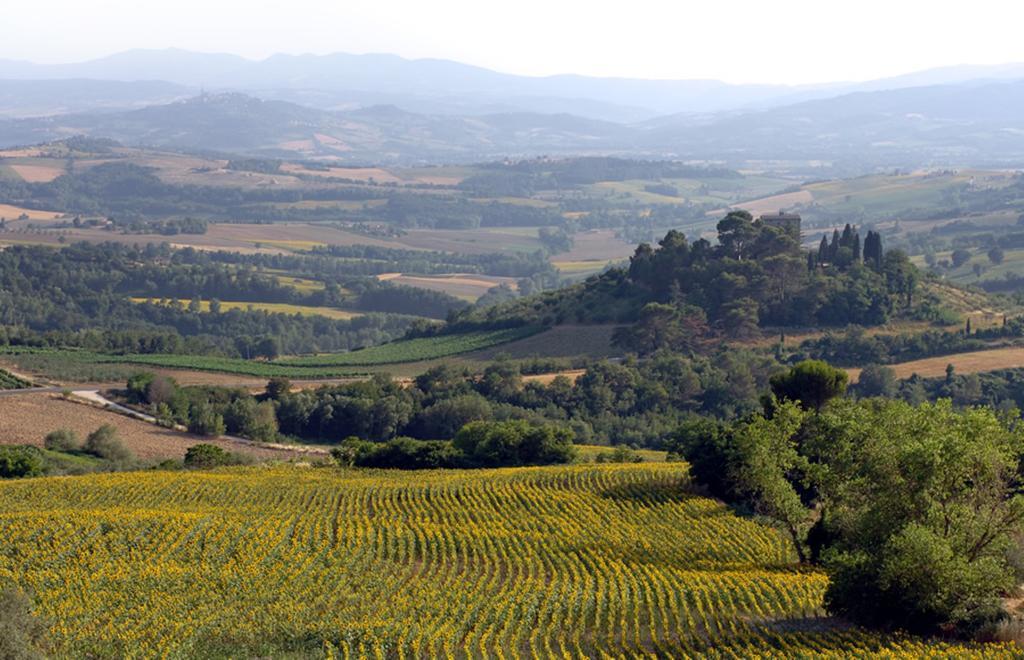 Torre Almonte Apart otel Todi Dış mekan fotoğraf